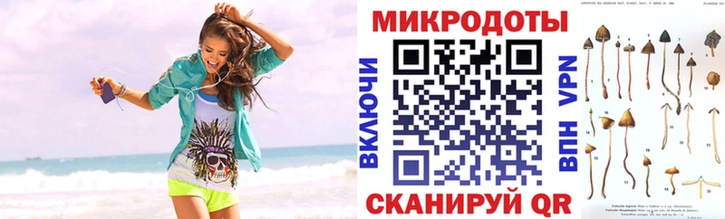 mega как зайти  Нововоронеж  Галлюциногенные грибы Psilocybine cubensis 