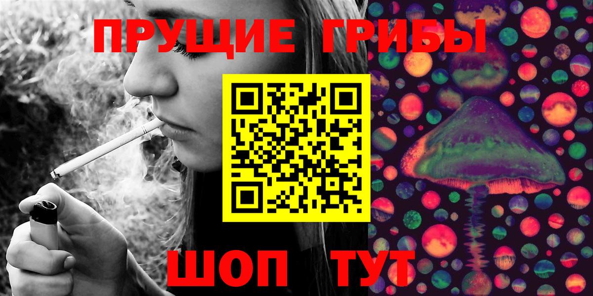 Галлюциногенные грибы прущие грибы  Вход с VPN  закладки  Нововоронеж 
