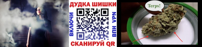 Бошки Шишки марихуана Нововоронеж